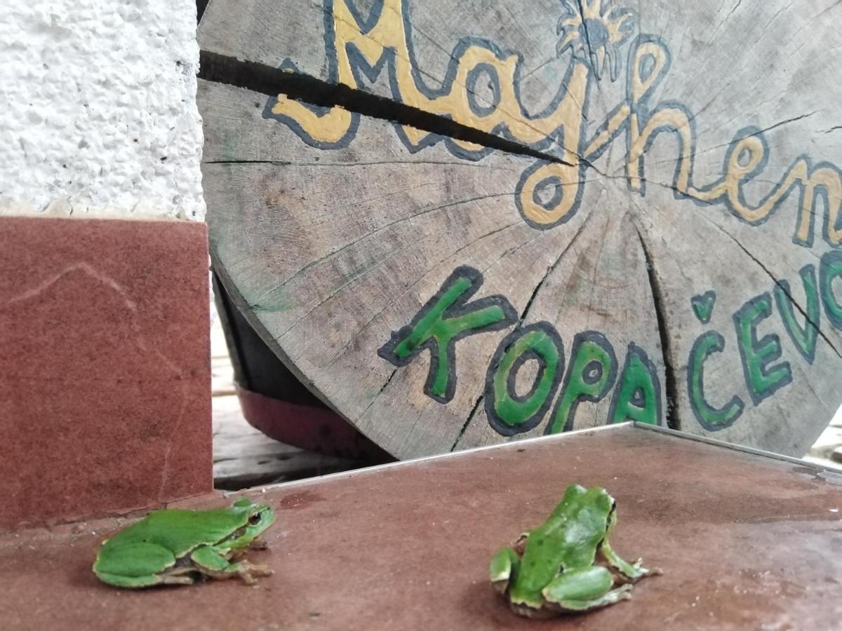 B&B Majhen Kopacevo Luaran gambar