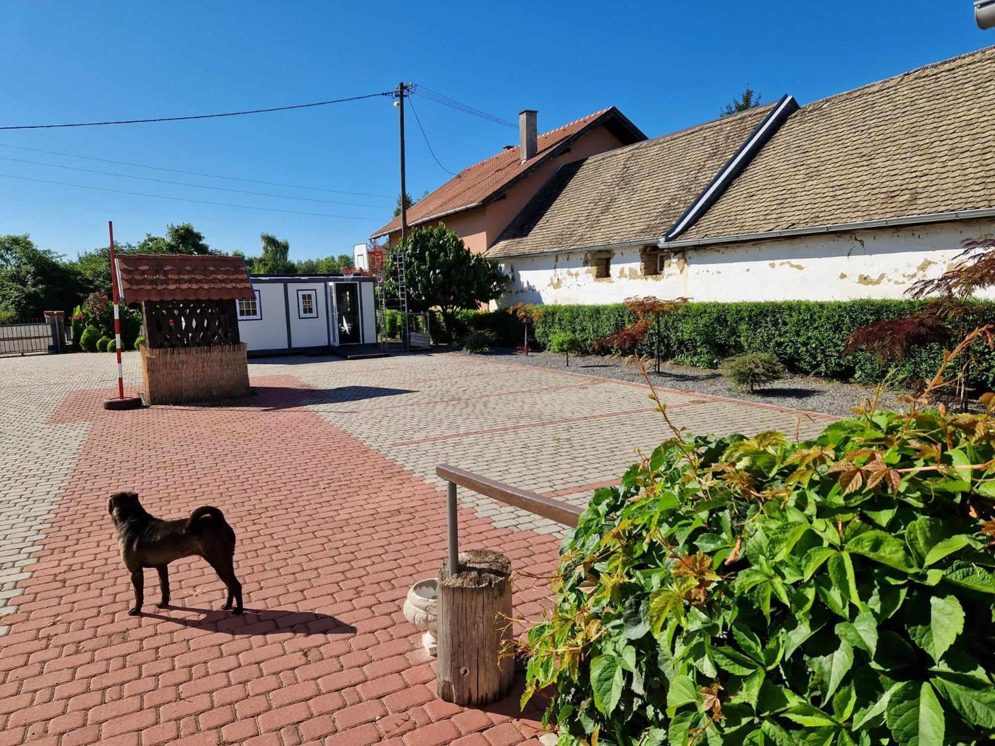 B&B Majhen Kopacevo Luaran gambar